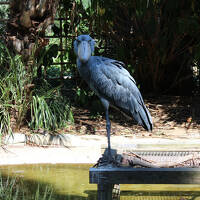 東京　2012年８月