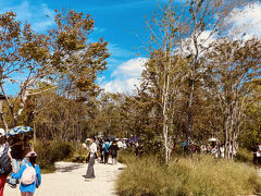 国慶節で一時帰国！久々京都で烏丸御池散策＆おまけの大阪・関西万博で日本の思い出紀行！