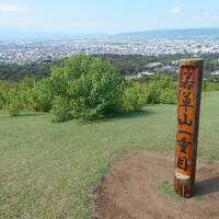 奈良観光、若草山など