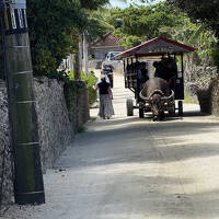 1歳4歳子連れ のんびり観光&ビーチリゾートどちらも楽しむ旅 石垣島5泊8日　①出発～石垣島～竹富島