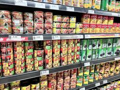 トラブルだらけの東南アジア旅～フリー