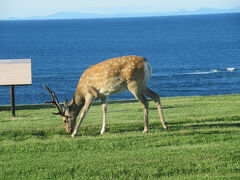 足まめ父母娘の北海道稚内・釧路3泊4日 前半の稚内