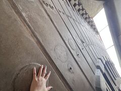 シドニー社員旅行に嫁がついて行く【3日目】オペラハウス/ダーリングハーバー