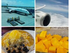 ２０２５年夏休み★台湾８泊９日★台湾人のおもてなしと帰国編