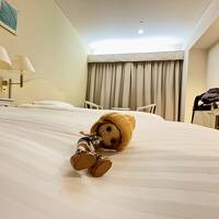 欠航？！トラブル乗り越え高雄旅行【一日目】