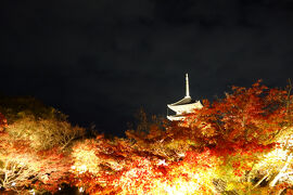 京都訪問2024秋③(京都紅葉巡り・夜間拝観でライトアップされた紅葉を鑑賞：北野天満宮、東寺他)