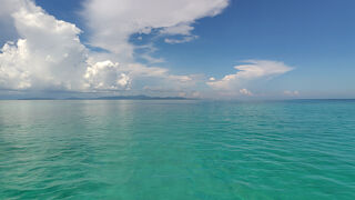 石垣島ダイビング（その２）