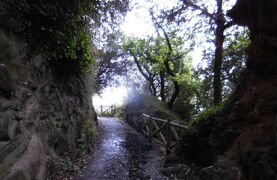 2025サンチャゴ巡礼09　16ポベーニャからCastro Urdiales　今日も嬉しい再会が