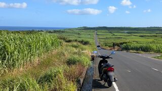 【奄美沖縄 原付旅】美しい海とさとうきびの楽園・喜界島を原付で周遊！