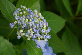 関東散歩記～2025-2 千葉・松戸市編～