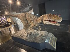 福井県立恐竜博物館を見学（3）福井の恐竜
