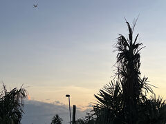 今年２度目の豪州はケアンズへ: 4日目はアウトレットへ