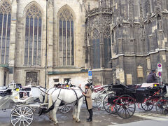 中欧ヨーロッパ　オーストリア・ハンガリー・スロバキア・チェコの首都を巡る旅　①ウィーン