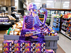 ＮＹ探鳥（ハチドリ）の旅　⑦　アップステートへ小旅行  ８～１１日　ソーンウッド