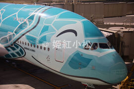 ANAフライングホヌのビジネスクラスで行くオアフ島・ハワイ島・カウアイ島（ダニエル・K・イノウエ国際空港から日本へ）2024/02/22