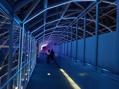 義母と歩く京都 ③ 京都駅至近の夜景巡り 