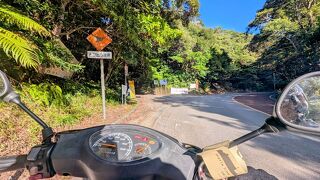 【沖縄八重山 原付旅】本島北部周遊 ～ちゅら海 & やんばるの森を快走！～