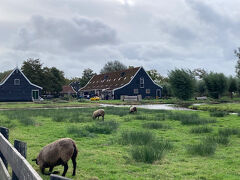 オランダ・ベルギー・ルクセンブルグ・ドイツ8日間　オランダ編