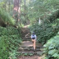 彼岸花咲く日向薬師から七沢温泉へお手軽ハイキング