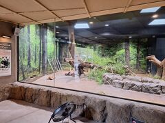 上野動物園に孫とパンダを見に行ってきました