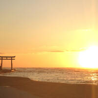 宮崎青島・自炊ご飯と海入るだけ贅沢時間の３～５日目編