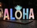 ハワイ2025 7泊9日の旅　その1