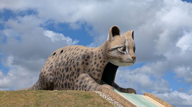 【沖縄八重山 原付旅】西表島（大原港）