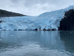 4時間の氷河ツアー GLACIER QUEST CRUISE