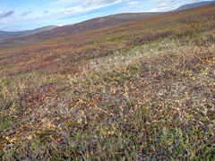 夫婦二人だけの北極圏突入　４