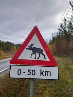 夫婦二人だけの北極圏突入　９