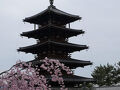 ミニチュア展と仏像めぐりとラーメンの旅 その3 奈良 法隆寺&中宮寺 ちょっと和歌山