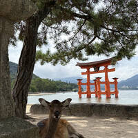 広島2泊3日の旅&#9992;