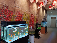 愛知のＢ級でマイナーな観光地めぐり2504「金魚と水郷の街“弥富”を訪れました。」　～弥富・愛知～