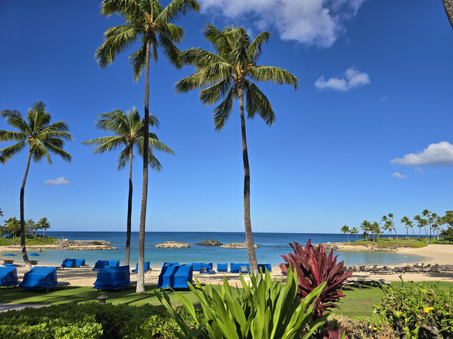 暮らすように旅するHawaii～(ハレイワ＆ノースショア＋フォーシーズンズでお誕生日ディナー)♪中編 