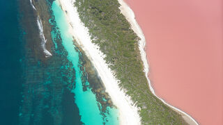 ピンク・レイクを見たい！　西オーストラリア 2018 その①　