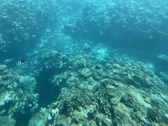 ココガーデンリゾートオキナワ