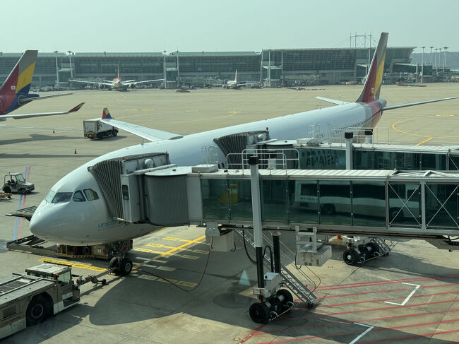 AAR（アシアナ）バンコク搭乗記2025/03　その2(BKK-ICN-NRT C)：復路　24年8月と同じOZビジネス