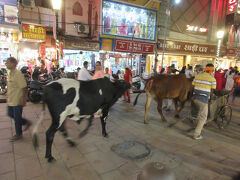 インドツアー7泊8日③バラナシとデリー。ガンジス川と礼拝儀式とマフユーン廟とクトゥプミナール