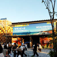 近畿四都市（津・京都・奈良・大阪）周遊の旅　（2025年6月）その２　関西万博