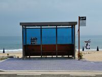 ネイティブと行く！恒例の韓国旅行今年はカンヌン♪3日目