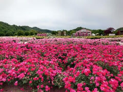 ぎふワールドローズガーデン　広大な敷地に6000品種・2万株のバラと草花が咲き誇る