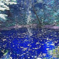 父との最後の旅行！家族で青森！