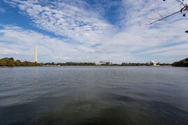 初めてのスターアライアンスビジネスクラス世界一周旅行8(ワシントンDC編)