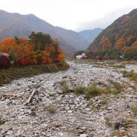 紅葉の光前寺と駒ケ根