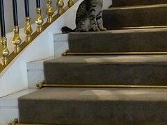 安心安全な国、トルコへGO！【7日目＆最終日】