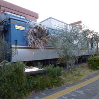 春の下町水辺散歩（８）木場