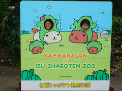 2023.9 甥っ子たちと伊豆シャボテン動物公園、大室山へ