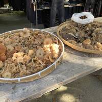 水上で廃墟と天然きのこを堪能