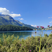 氷河が消える前に～夏のスイスアルプス2025⑦　鳥の鳴き声で目覚めるサンモリッツ