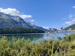氷河が消える前に～夏のスイスアルプス2025⑦　鳥の鳴き声で目覚めるサンモリッツ